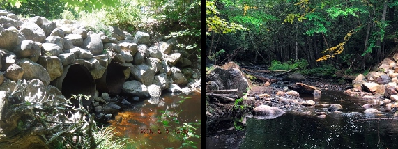 Beaverdam Stream before and after