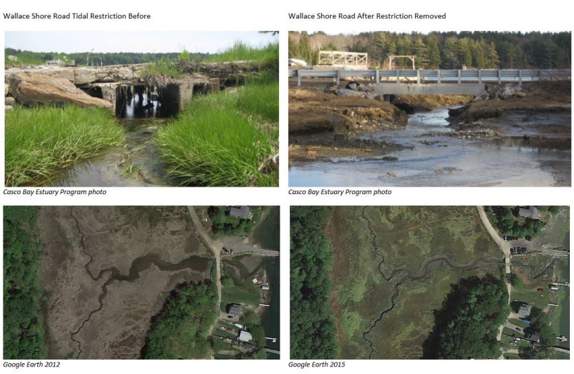 Wallace Shore Road before & after