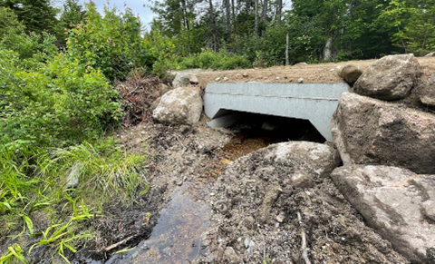 New open-bottom box culvert that replaced an undersized culvert, photo by TNC