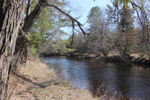 Photo of Crooked River seen from Scribner property