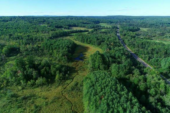 Photo of marshes and forests protected at this site