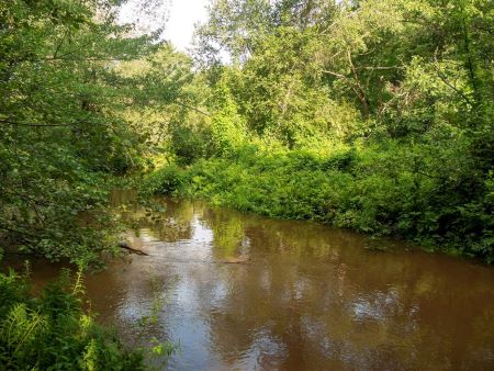 Nonesuch River, photo by Scarborough Land Trust Photo of Nonesuch River