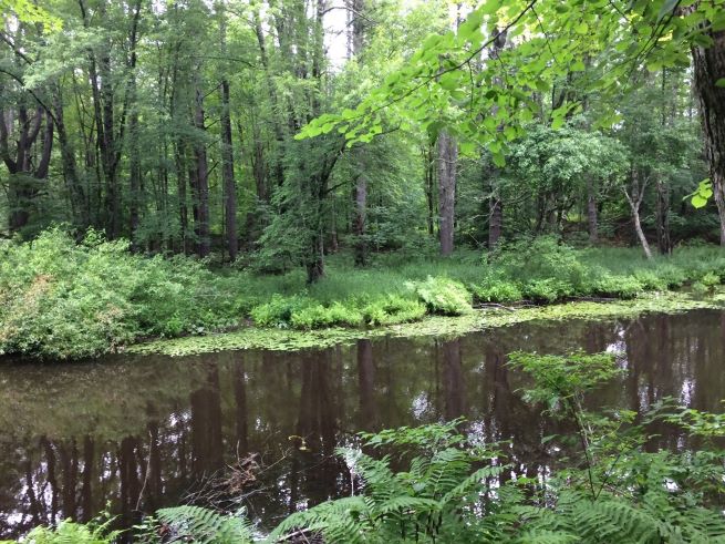 Photo of Ogunquit River from the Old Boston Farm property