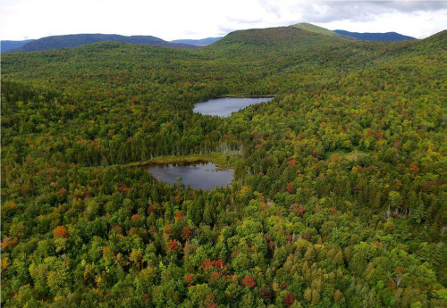 Photo of Shiloh Pond property