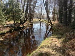 © Town of Falmouth Suckfish Brook