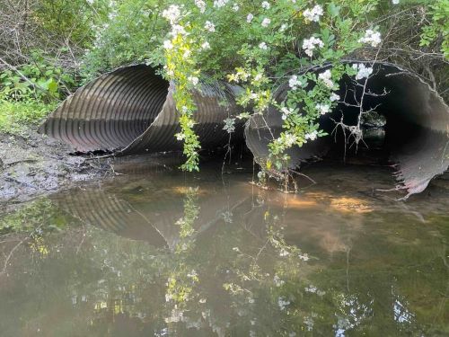 Photo of the insufficient culverts at Willow Brook